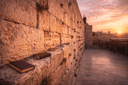 Yaacov’s Fear at the Border of Egypt